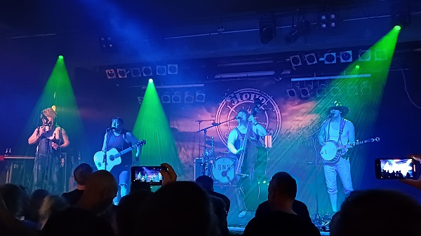 Steve 'n' Seagulls